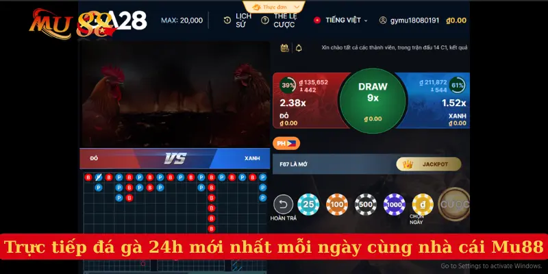 Trực Tiếp Đá Gà 24h Mới Nhất Mỗi Ngày Cùng Nhà Cái Mu88